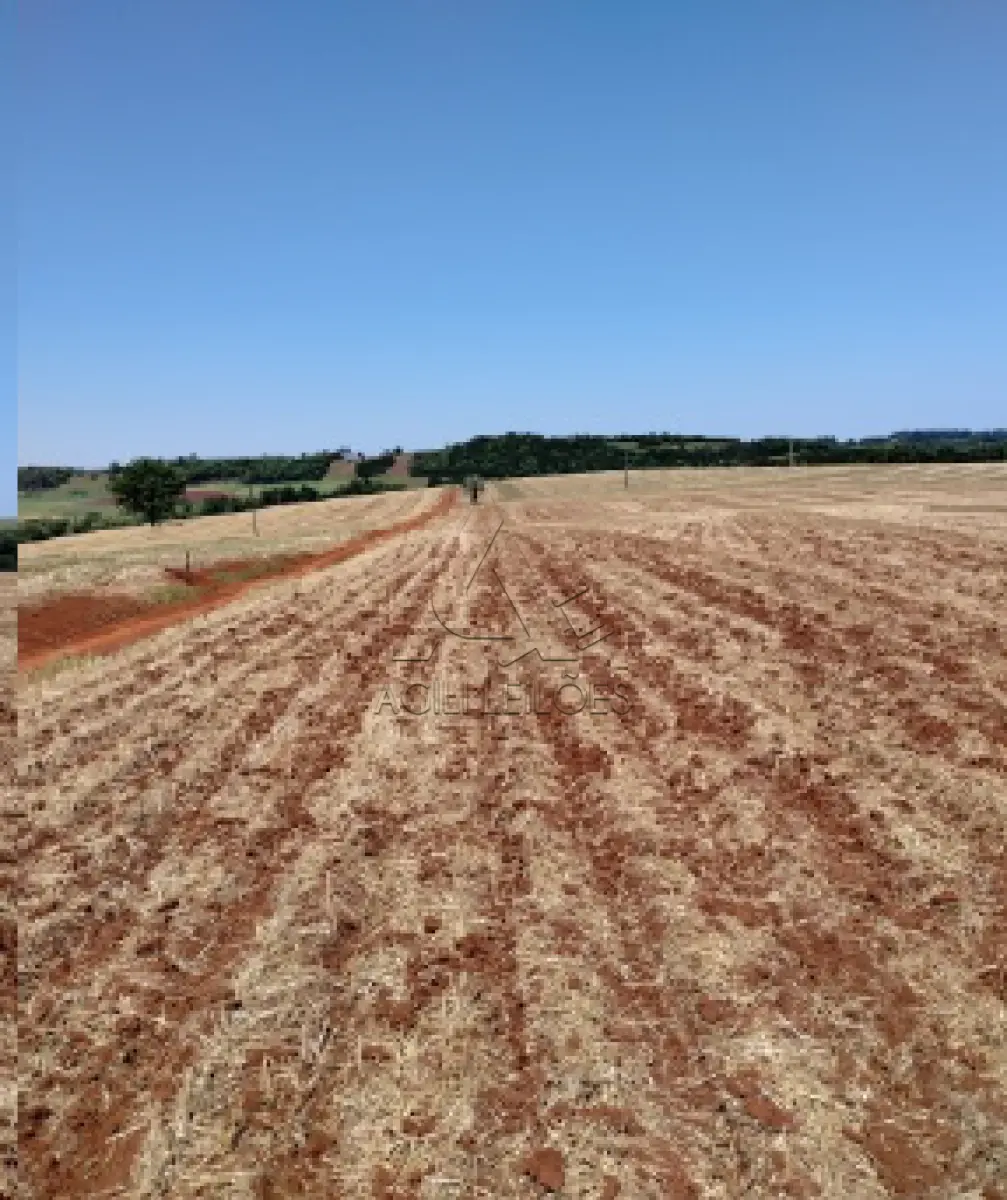 LOTE 001 - Matrícula 409 R-14