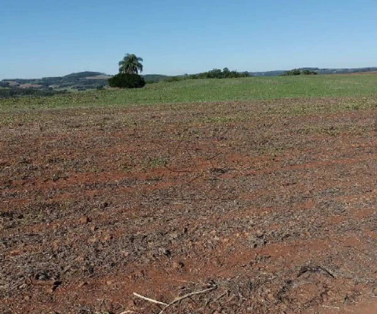 LOTE 001 - •	Matrícula 2.984