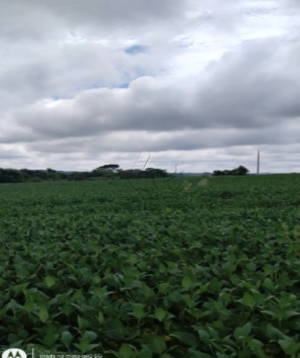 LOTE 001
