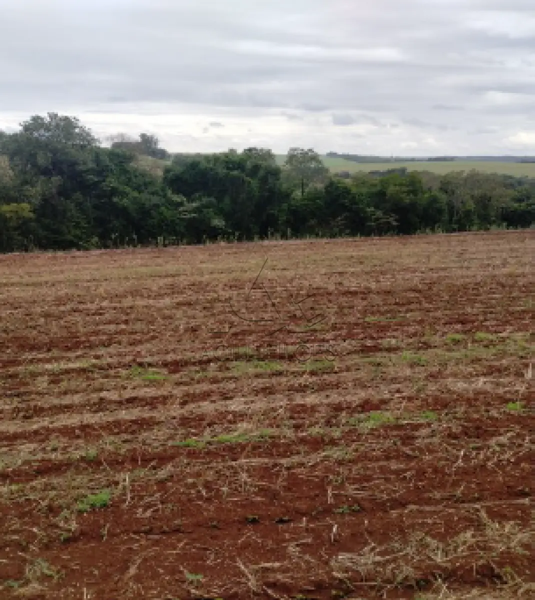 LOTE 001 - Matrícula 3.165