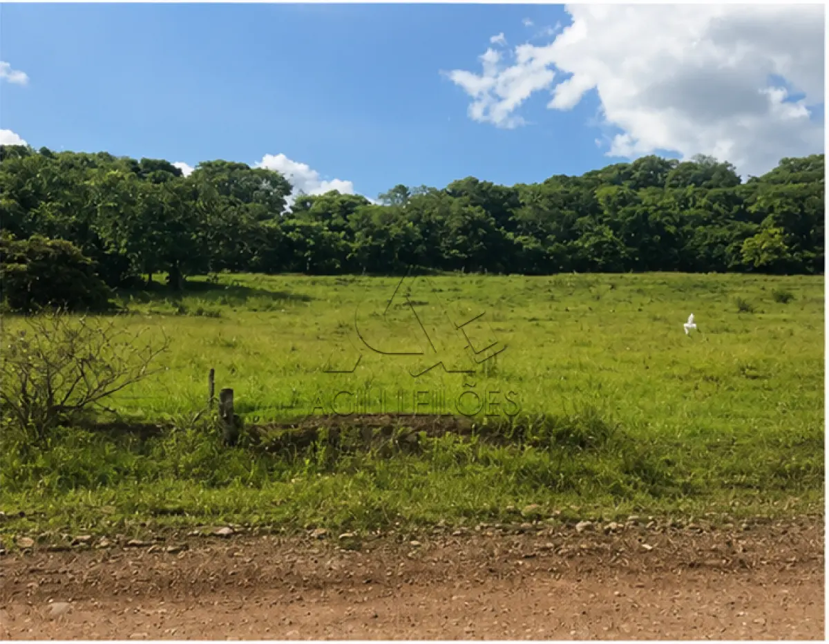LOTE 001 - Matrícula 4.982, área de 42.839,00m²