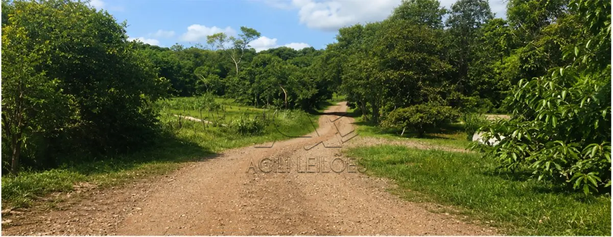 LOTE 001 - Matrícula 4.982, área de 42.839,00m²