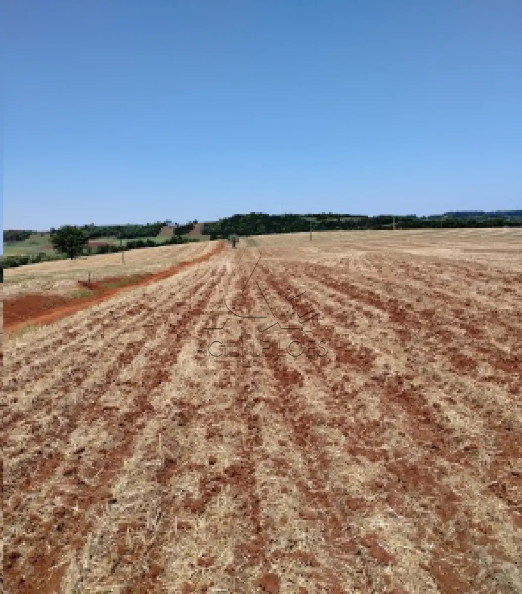 LOTE 001 - Matrícula 409 R-13