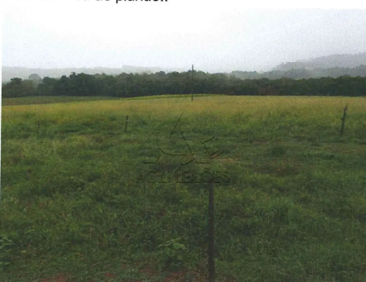 LOTE 001 - Matrícula 18.256