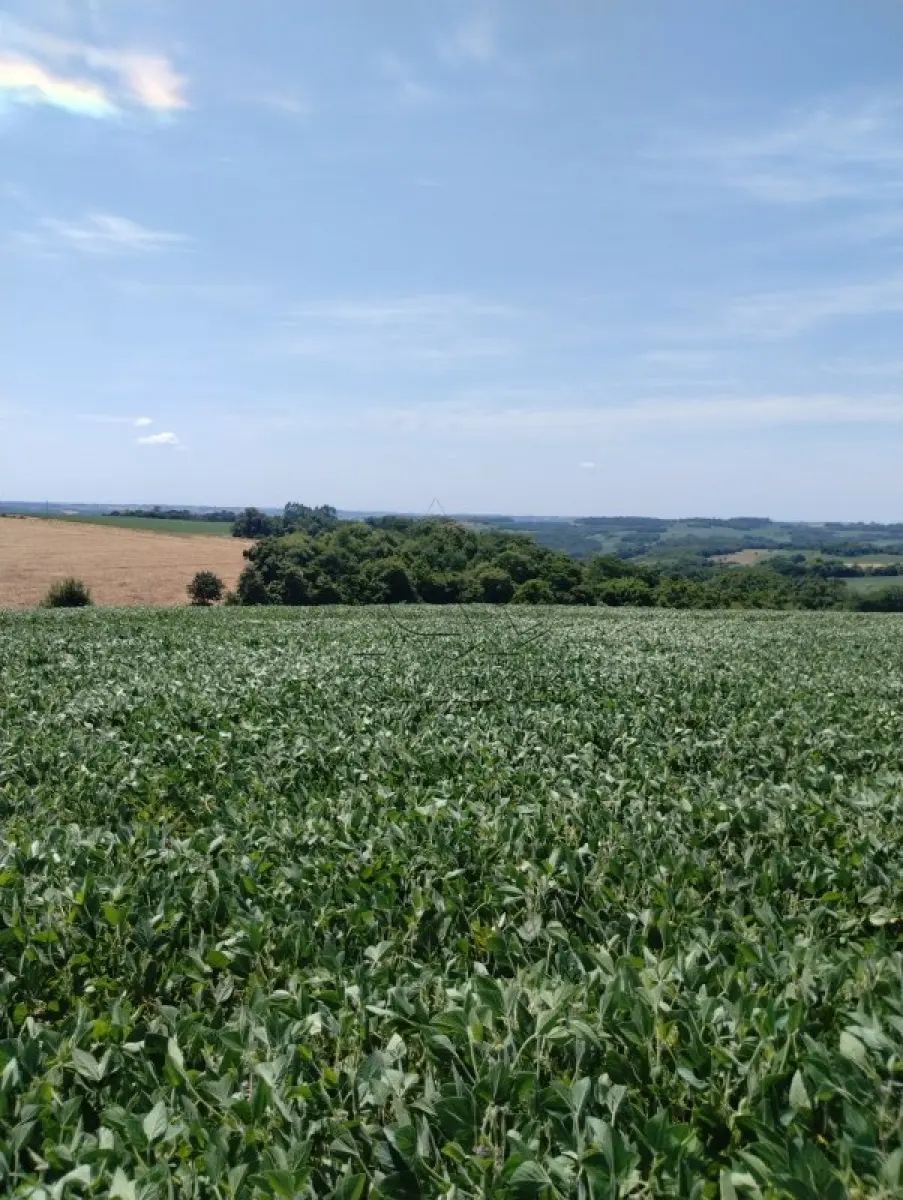 LOTE 000 - IMÓVEIS: Lote 01 Matrícula nº 7.569 – Área de 53.000,00 m²  RI de Três de Maio/RS