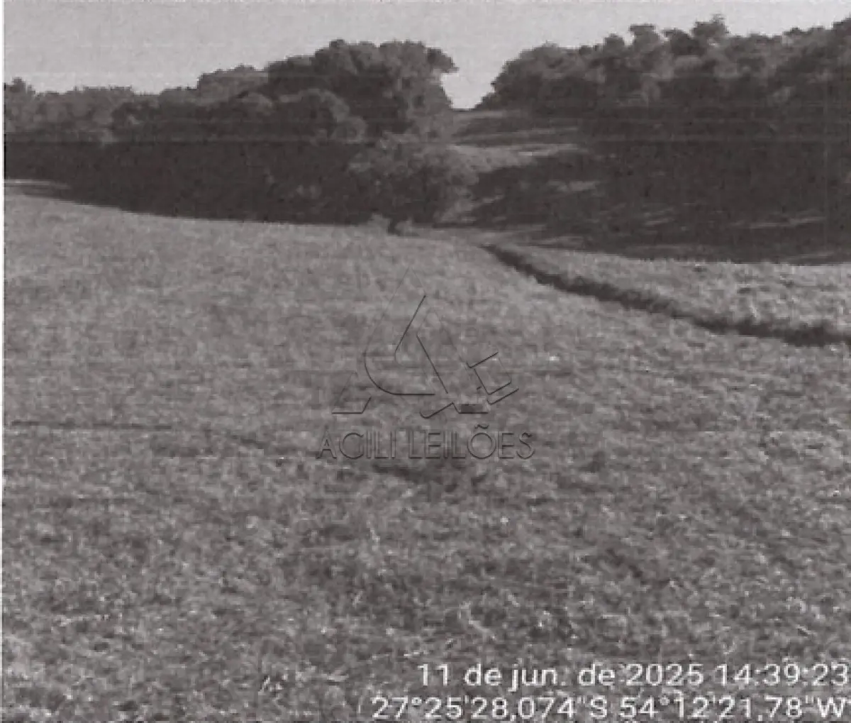 LOTE 001