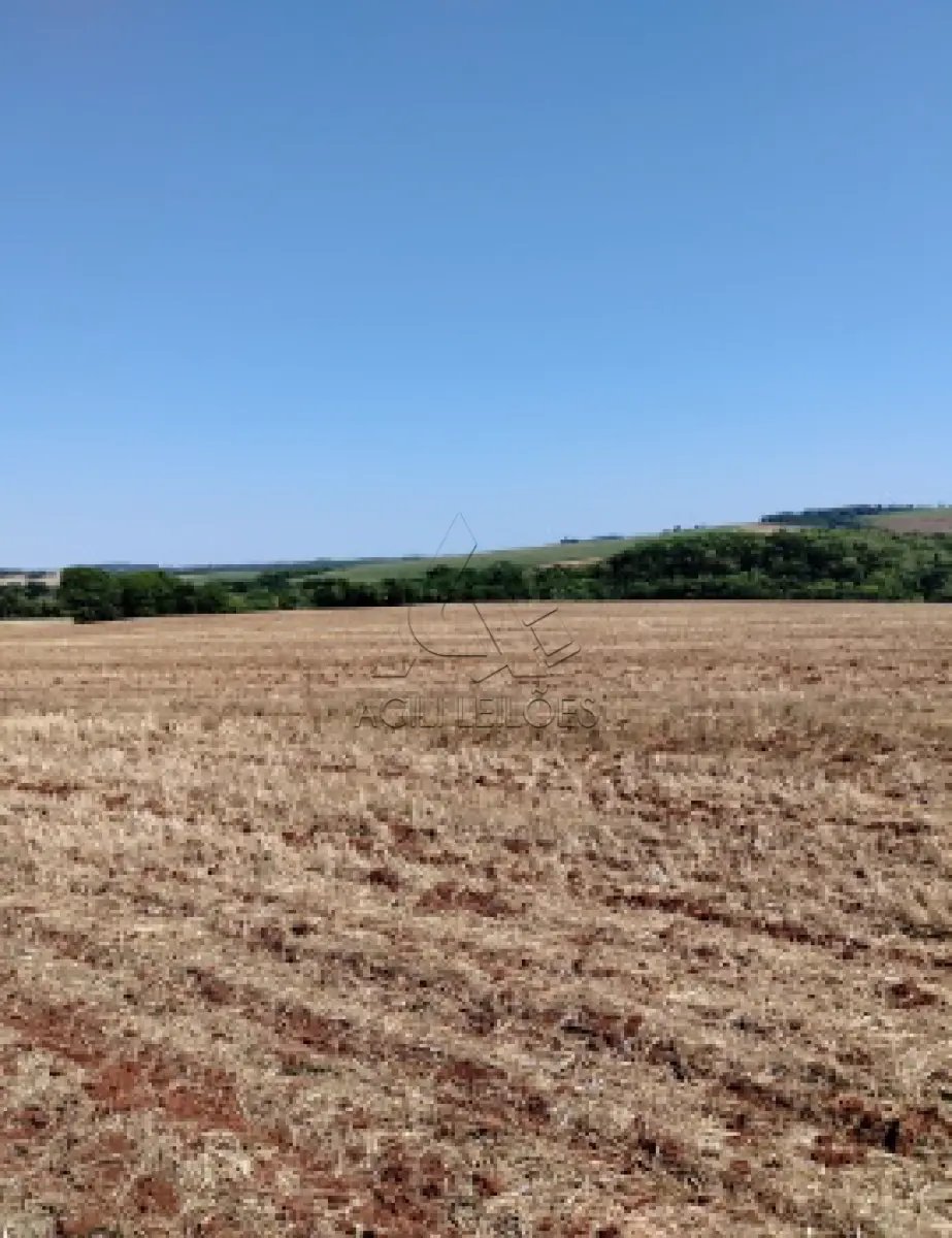 LOTE 001 - Matrícula 409 R-14