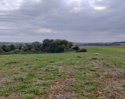 Imóvel Matrícula Nº 3107 Ri De Três De Maio / Rs Uma Fração De Terras Pertencente Ao Lote Rural Nº 18, Com A Área De 125.000,00 M² (cento E Vinte E Cinco Mil Metros Quadrados), Sem Benfeitorias, Situa, localizado em Três De Maio - RS, bairro Colônia Glória