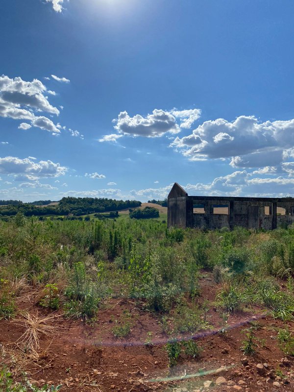 Terras 5.000m² – Lote 08, Linha Porto Alegre Norte, Matrícula 1382, Solo Vermelho Argiloso, Plano, Agricultável. Avaliação R$ 40.000,00., localizado em Guarani Das Missões - RS, bairro Linha Porto Alegre Norte