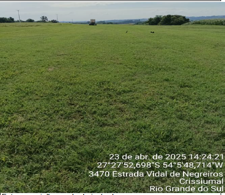 Matrícula Nº 3.793 Imóvel: Uma Fração De Terras, Sem Benfeitorias, Com A Área De Cento E Vinte E Um Mil Metros Quadrados (121.000 M²), Pertencente Ao Lote Rural Nº 270, Da 6ª Seção Buricá, Sito No Dis, localizado em São Paulo - SP, bairro Buricá