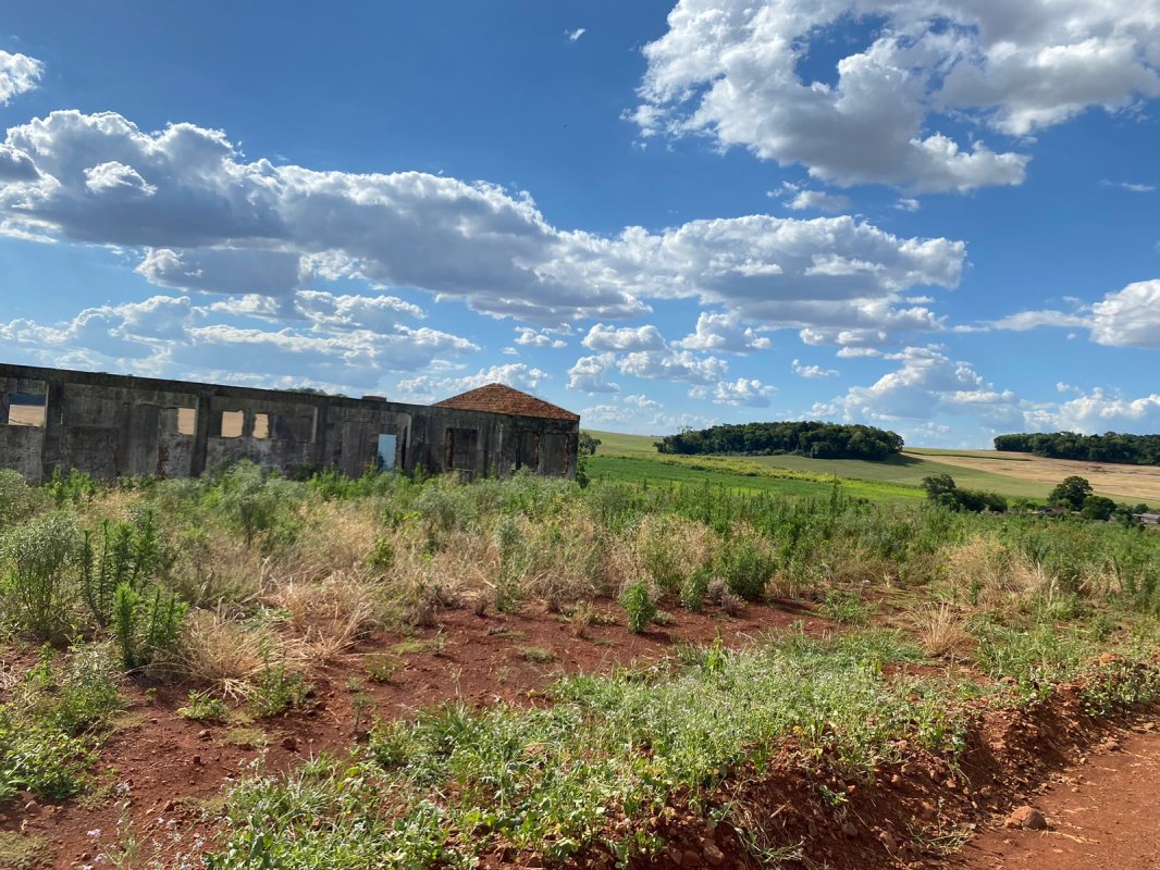 Terras 5.000m² – Lote 08, Linha Porto Alegre Norte, Matrícula 1382, Solo Vermelho Argiloso, Plano, Agricultável. Avaliação R$ 40.000,00., localizado em Guarani Das Missões - RS, bairro Linha Porto Alegre Norte