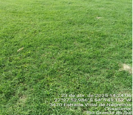 Matrícula Nº 3.793 Imóvel: Uma Fração De Terras, Sem Benfeitorias, Com A Área De Cento E Vinte E Um Mil Metros Quadrados (121.000 M²), Pertencente Ao Lote Rural Nº 270, Da 6ª Seção Buricá, Sito No Dis, localizado em São Paulo - SP, bairro Buricá