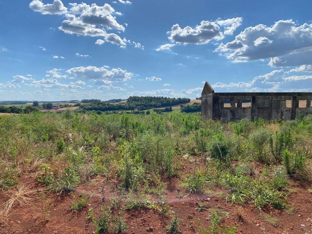 Terras 5.000m² – Lote 08, Linha Porto Alegre Norte, Matrícula 1382, Solo Vermelho Argiloso, Plano, Agricultável. Avaliação R$ 40.000,00., localizado em Guarani Das Missões - RS, bairro Linha Porto Alegre Norte