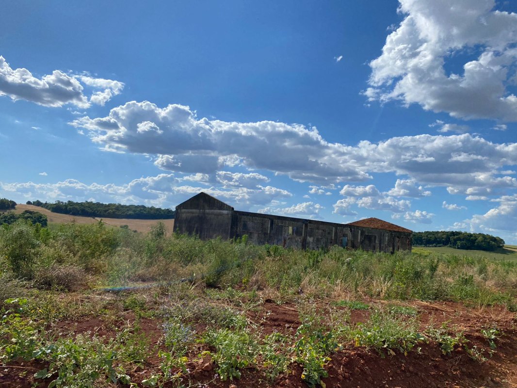 Terras 5.000m² – Lote 08, Linha Porto Alegre Norte, Matrícula 1382, Solo Vermelho Argiloso, Plano, Agricultável. Avaliação R$ 40.000,00., localizado em Guarani Das Missões - RS, bairro Linha Porto Alegre Norte