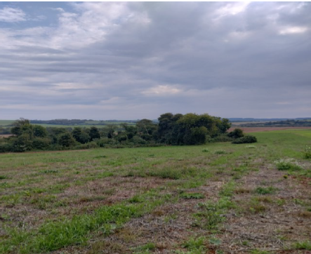 Imóvel Matrícula Nº 3107 Ri De Três De Maio / Rs Uma Fração De Terras Pertencente Ao Lote Rural Nº 18, Com A Área De 125.000,00 M² (cento E Vinte E Cinco Mil Metros Quadrados), Sem Benfeitorias, Situa, localizado em Três De Maio - RS, bairro Colônia Glória