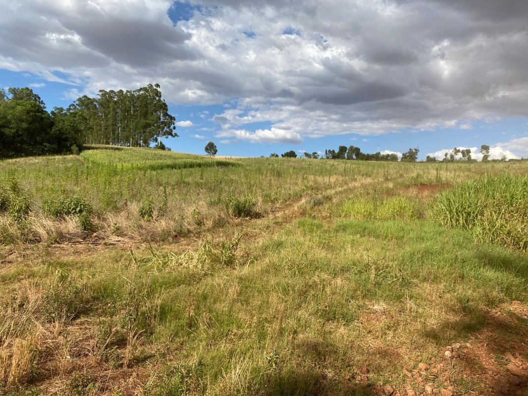 Uma Fração De Terras Parte Do Lote Nº 20 Situado Na Linha Ceroula, Interior Do Município De Guarani Das Missões Com Área De Dezessete Mil E Quinhentos Metros Quadrados (17.500,00m²), Sem Benfeitorias., localizado em Guarani Das Missões - RS, bairro Interior do Município de Guarani das Missões