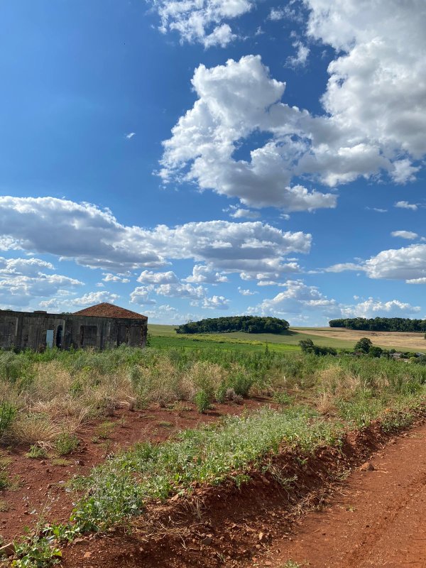 Terras 5.000m² – Lote 08, Linha Porto Alegre Norte, Matrícula 1382, Solo Vermelho Argiloso, Plano, Agricultável. Avaliação R$ 40.000,00., localizado em Guarani Das Missões - RS, bairro Linha Porto Alegre Norte