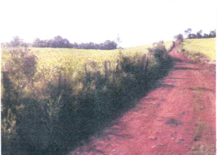 Matrícula Nº 15.803 Imóvel: Lote Rural Número 104, Da Segunda Secção São Francisco, Com Área De 34.817 M², Situado Em Planalto, Município De Tiradentes Do Sul, Confrontando Ao Norte, Por Linha Seca, C, localizado em Tiradentes Do Sul - RS