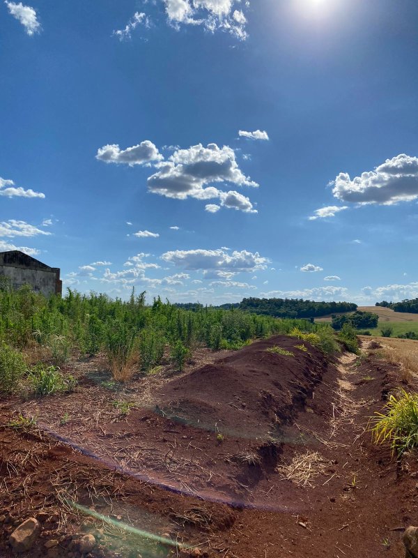 Terras 5.000m² – Lote 08, Linha Porto Alegre Norte, Matrícula 1382, Solo Vermelho Argiloso, Plano, Agricultável. Avaliação R$ 40.000,00., localizado em Guarani Das Missões - RS, bairro Linha Porto Alegre Norte