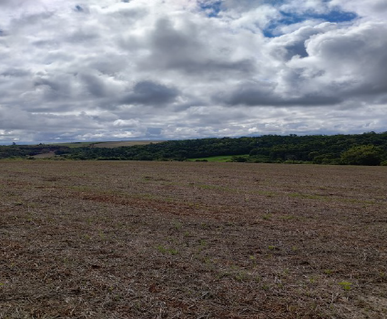 Matrícula 302 Ri De Três De Maio/rs: Uma Fração De Terras De Campo E Matos, Sem Benfeitorias, Com Área De 242.000m2, (duzentos E Quarenta E Dois Mil Metros Quadrados Do Lote Rural P°,30, Situado No Lu, localizado em Três De Maio - RS, bairro Rincão dos Cabral