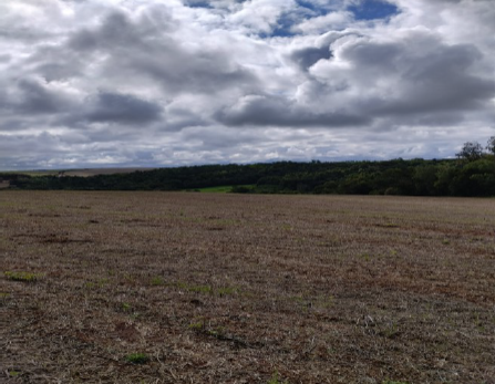Matrícula 302 Ri De Três De Maio/rs: Uma Fração De Terras De Campo E Matos, Sem Benfeitorias, Com Área De 242.000m2, (duzentos E Quarenta E Dois Mil Metros Quadrados Do Lote Rural P°,30, Situado No Lu, localizado em Três De Maio - RS, bairro Rincão dos Cabral