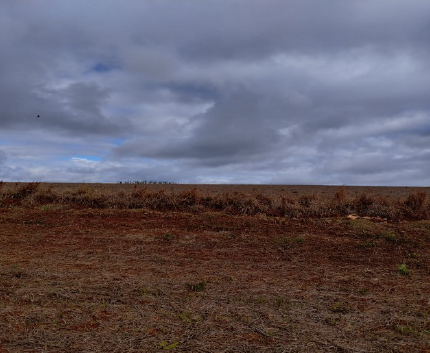 Matrícula 302 Ri De Três De Maio/rs: Uma Fração De Terras De Campo E Matos, Sem Benfeitorias, Com Área De 242.000m2, (duzentos E Quarenta E Dois Mil Metros Quadrados Do Lote Rural P°,30, Situado No Lu, localizado em Três De Maio - RS, bairro Rincão dos Cabral